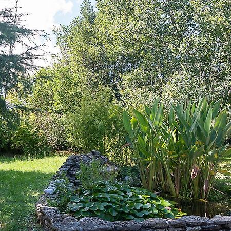 Au Detour Des Vignes Bed & Breakfast Ordonnac Exterior photo